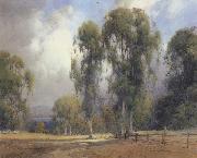 unknow artist California landscape oil painting picture wholesale